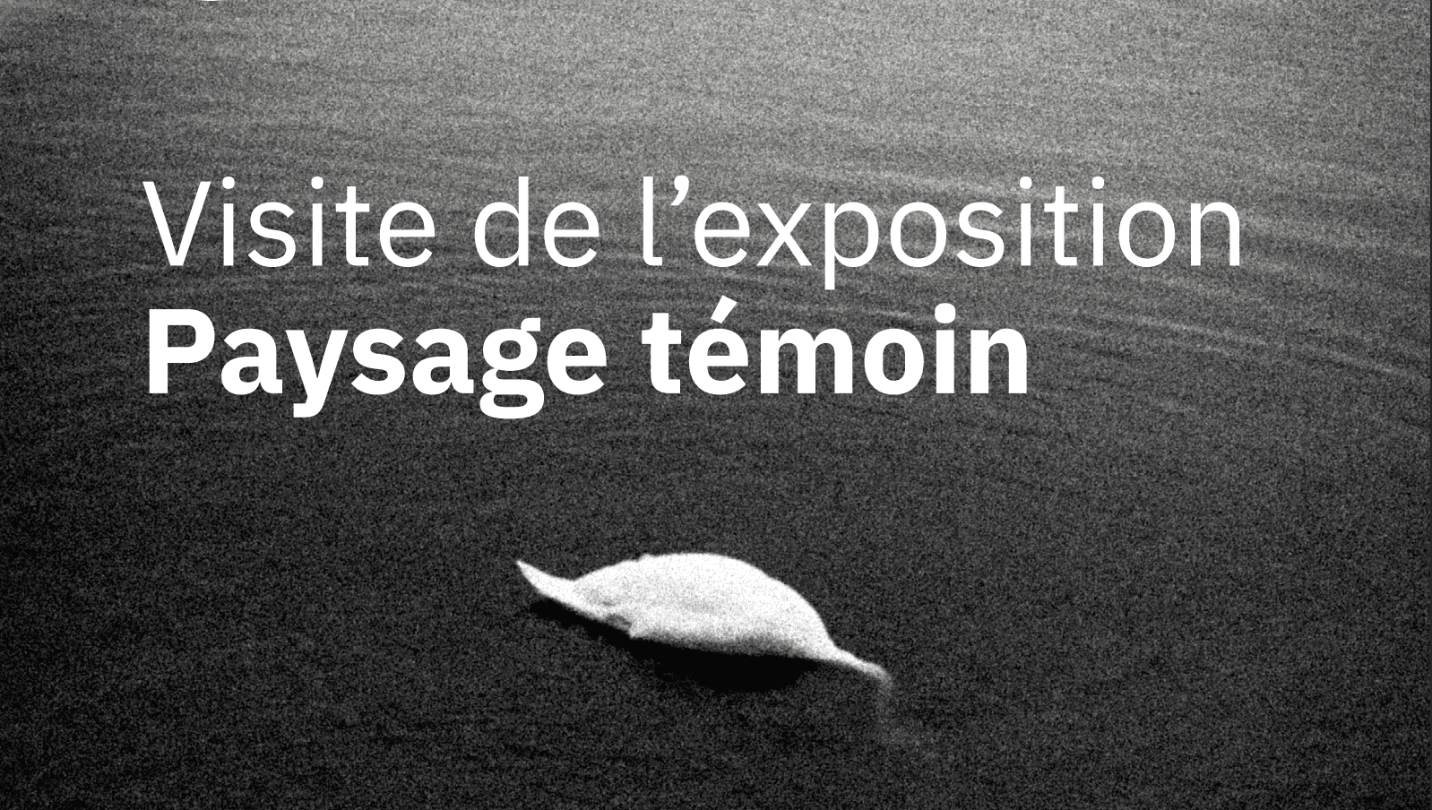Exposition Paysage témoin au CNRS